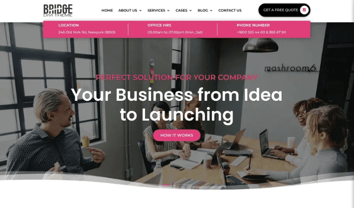 Divi Bridge Theme Divi Bridge Theme